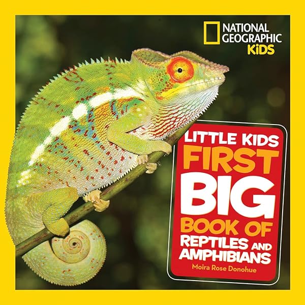 Amazon.com: National Geographic Little Kids First Big Book